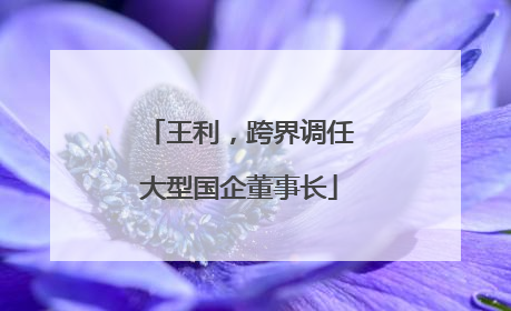 王利，跨界调任大型国企董事长