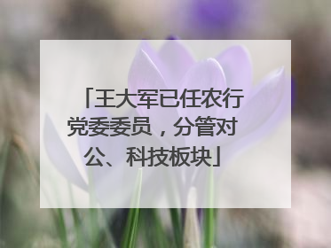 王大军已任农行党委委员，分管对公、科技板块