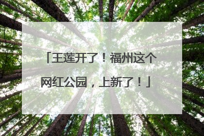 王莲开了！福州这个网红公园，上新了！