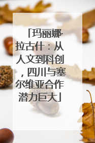 玛丽娜·拉古什：从人文到科创，四川与塞尔维亚合作潜力巨大