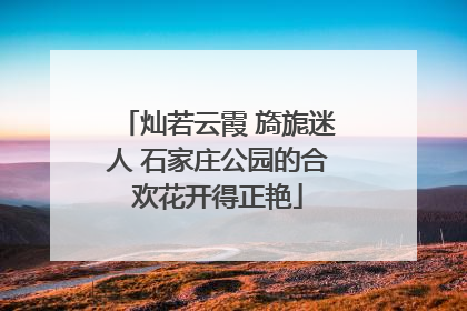 灿若云霞 旖旎迷人 石家庄公园的合欢花开得正艳