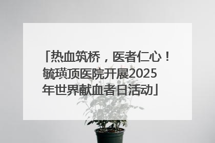 热血筑桥，医者仁心！毓璜顶医院开展2025年世界献血者日活动