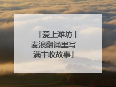 爱上潍坊丨麦浪翻涌里写满丰收故事