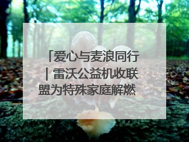 爱心与麦浪同行｜雷沃公益机收联盟为特殊家庭解燃“麦”之急