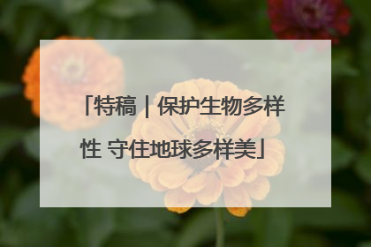 特稿｜保护生物多样性 守住地球多样美