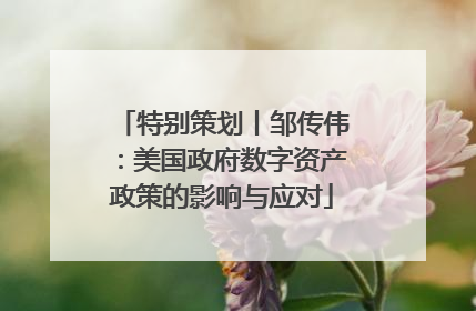 特别策划丨邹传伟：美国政府数字资产政策的影响与应对