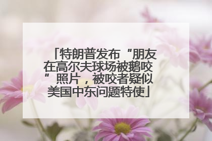 特朗普发布“朋友在高尔夫球场被鹅咬”照片，被咬者疑似美国中东问题特使