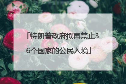 特朗普政府拟再禁止36个国家的公民入境