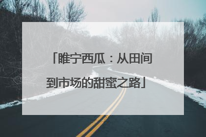 睢宁西瓜：从田间到市场的甜蜜之路
