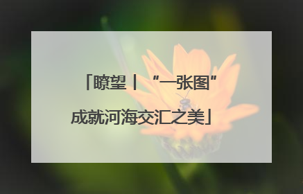 瞭望丨“一张图”成就河海交汇之美