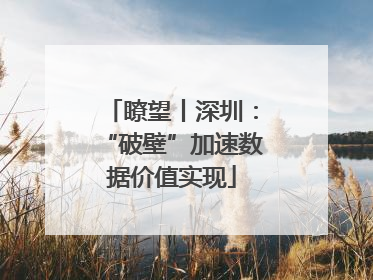 瞭望丨深圳：“破壁”加速数据价值实现