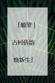 瞭望｜古村侨韵焕新生
