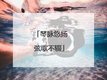 琴脉悠扬 弦歌不辍