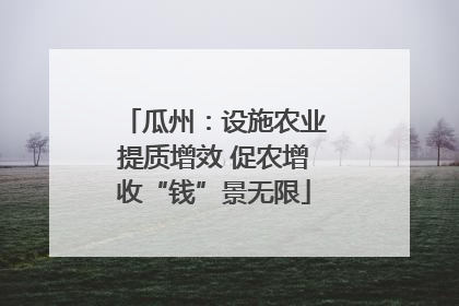 瓜州：设施农业提质增效 促农增收“钱”景无限