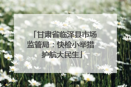 甘肃省临泽县市场监管局：快检小举措 护航大民生