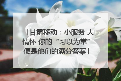 甘肃移动：小服务 大情怀 你的“习以为常”便是他们的满分答案