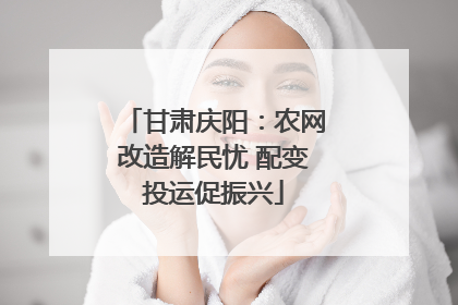 甘肃庆阳：农网改造解民忧 配变投运促振兴