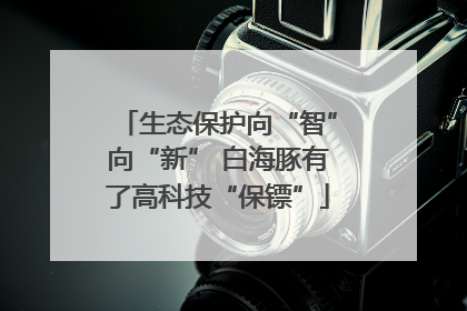 生态保护向“智”向“新” 白海豚有了高科技“保镖”