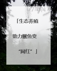 生态养殖助力鳜鱼变“网红”