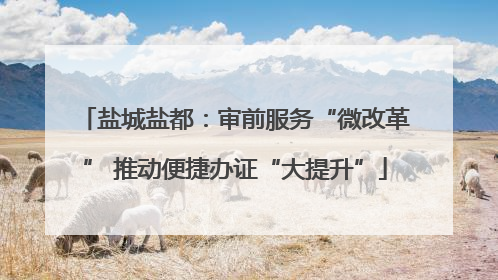 盐城盐都：审前服务“微改革” 推动便捷办证“大提升”