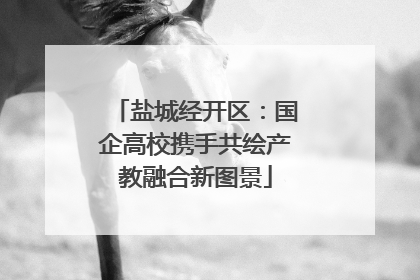 盐城经开区：国企高校携手共绘产教融合新图景