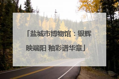 盐城市博物馆：银辉映端阳 釉彩谱华章