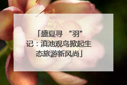 盛夏寻 “羽” 记：滇池观鸟掀起生态旅游新风尚