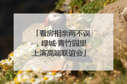 看房相亲两不误，绿城·青竹园里上演高端联谊会