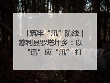 筑牢“汛”防线｜慈利县罗塔坪乡：以“迅”应“汛” 打赢暴雨防御战