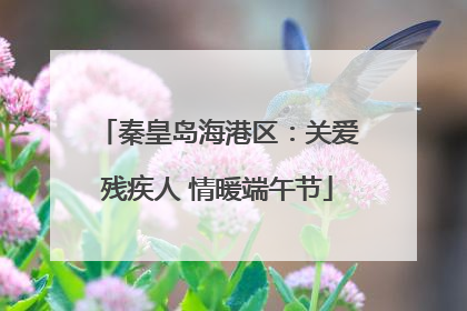 秦皇岛海港区：关爱残疾人 情暖端午节