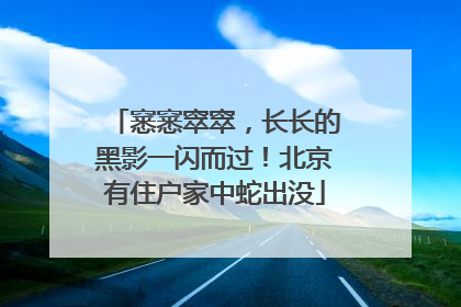 窸窸窣窣，长长的黑影一闪而过！北京有住户家中蛇出没