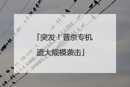 突发！普京专机遭大规模袭击
