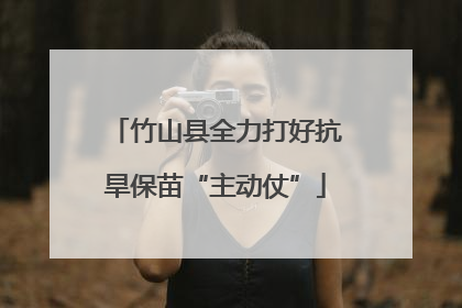 竹山县全力打好抗旱保苗“主动仗”