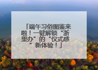 端午习俗图鉴来啦！一键解锁“浙里办”的“仪式感”新体验！