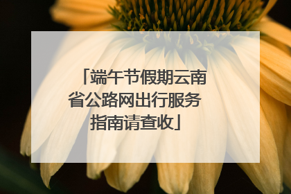 端午节假期云南省公路网出行服务指南请查收