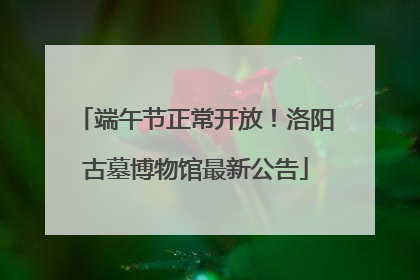 端午节正常开放！洛阳古墓博物馆最新公告