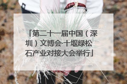 第二十一届中国（深圳）文博会·十堰绿松石产业对接大会举行