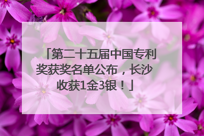 第二十五届中国专利奖获奖名单公布，长沙收获1金3银！