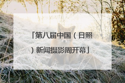 第八届中国（日照）新闻摄影周开幕
