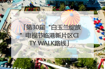 第30届“白玉兰绽放”电视节临港新片区CITY WALK路线