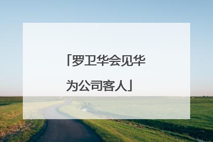 罗卫华会见华为公司客人