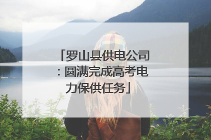 罗山县供电公司：圆满完成高考电力保供任务