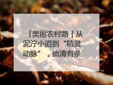 美丽农村路｜从泥泞小道到“精灵动脉”，德清有条“虾路”火了