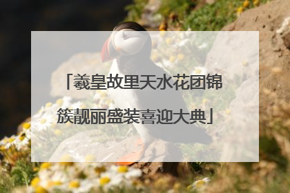 羲皇故里天水花团锦簇靓丽盛装喜迎大典
