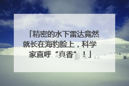 精密的水下雷达竟然就长在海豹脸上，科学家直呼“真香”！