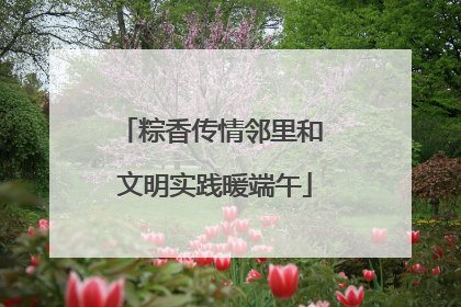 粽香传情邻里和 文明实践暖端午