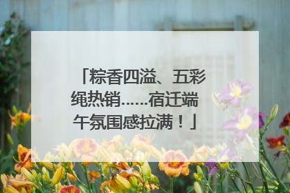 粽香四溢、五彩绳热销……宿迁端午氛围感拉满！