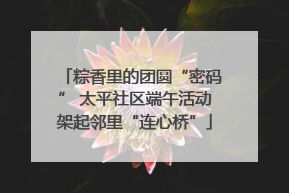 粽香里的团圆“密码” 太平社区端午活动架起邻里“连心桥”