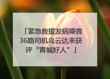 紧急救援发病乘客 36路司机乌云达来获评“青城好人”