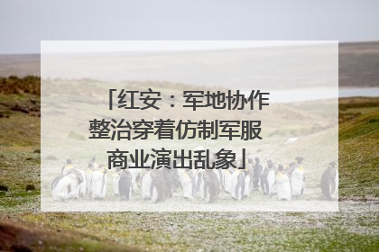 红安：军地协作整治穿着仿制军服商业演出乱象